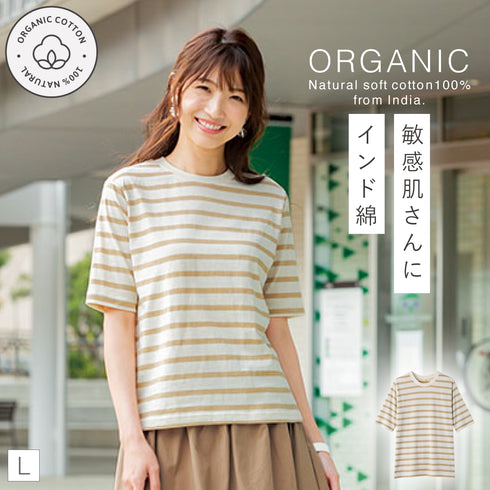 インド綿オーガニックコットン 五分袖Tシャツ ボーダー